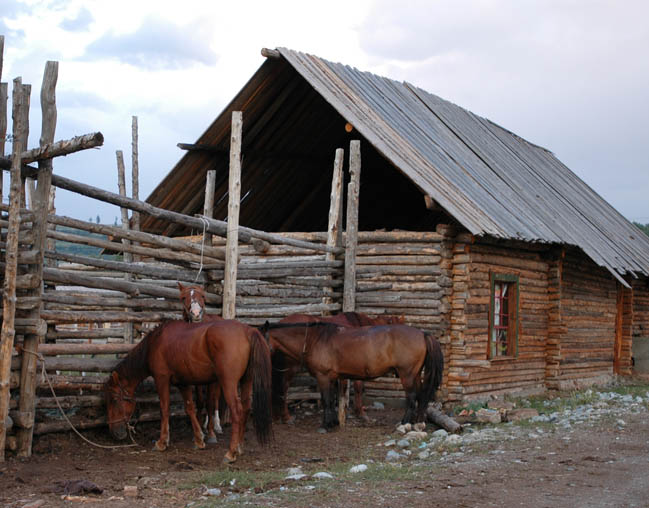　小木屋已成為圖瓦人的標誌，這里的房子都是用樺樹搭建起來的，房子外面是牲口圈，具有濃烈的地方和民族色彩。