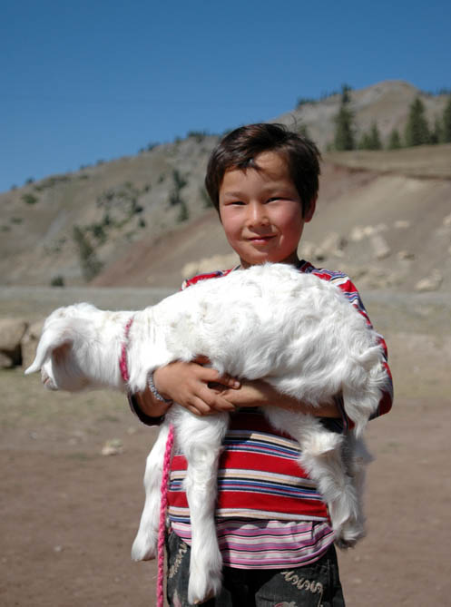 　這個哈薩克小男孩給我們示範抱羊的正確姿勢。