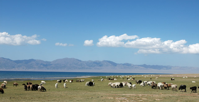 　個人覺得賽里木湖比新疆最著名的那兩個湖----天池及喀納斯湖更漂亮。