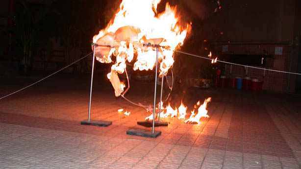 DSCN5157a.jpg