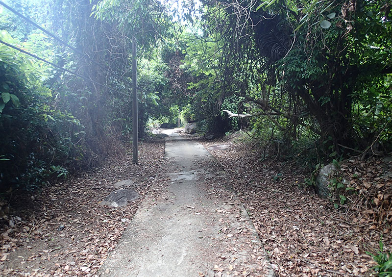 　繼續勇往直前，打算走到另一條村。但小路越來越幽靜，也不知要走多長時間才到下一村，天黑回來可能伸手不見五指，並且身無分文及電話，還是放棄吧。