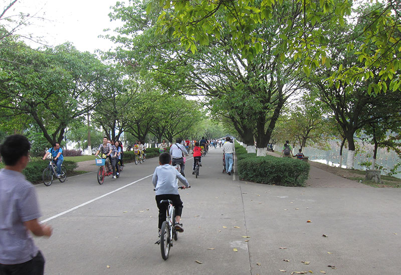 　公園也是以單車綠道為主，單車密度更甚於松山湖綠道。