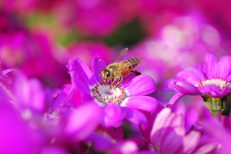 image04a.jpg