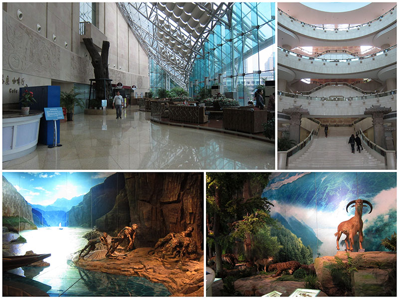 　1.5小時匆匆參觀了博物館，增加了一些重慶及長江三峽的知識。