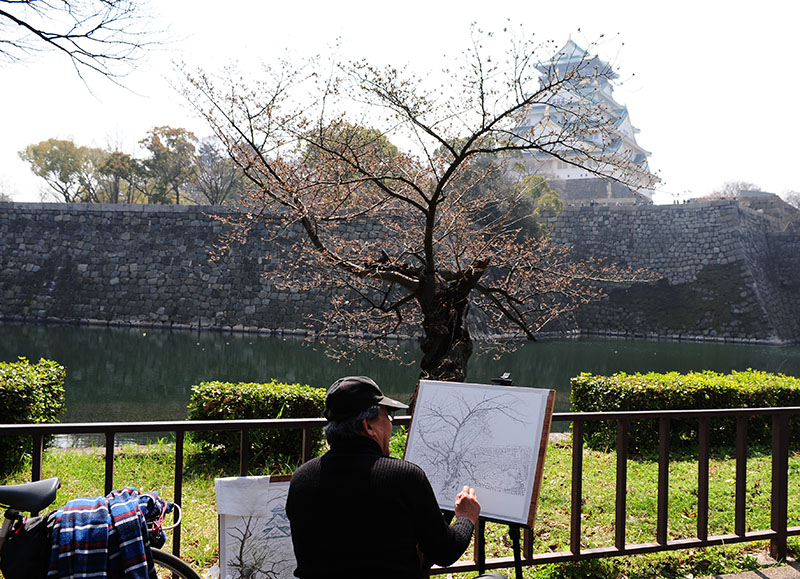　大阪城公園又如何呢？情況不樂觀。