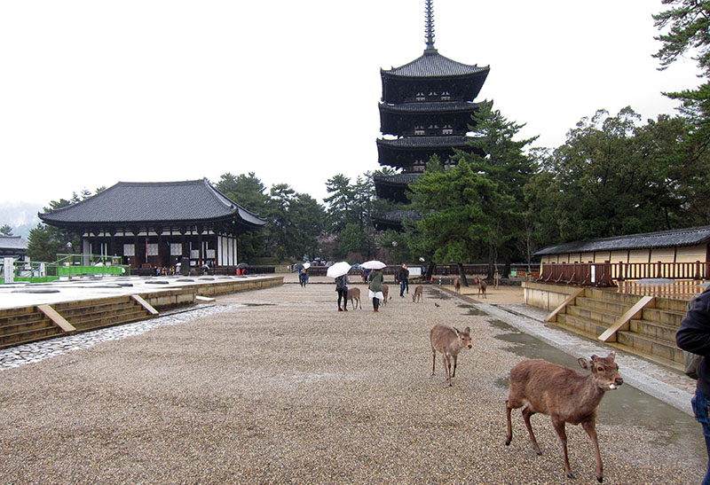　除了東大寺、春日大社外，還有興福寺也是世遺，不過主殿正包起來維修，旁邊的五重塔很有日本建築徵。