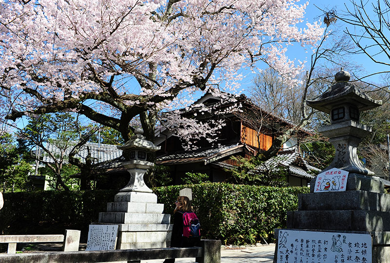 　沿途有一些神社、寺院，回來才查知這裡原來是老鼠神社，據說求姻緣、學業、長壽、病氣平癒很靈，如早知就進去拜拜。