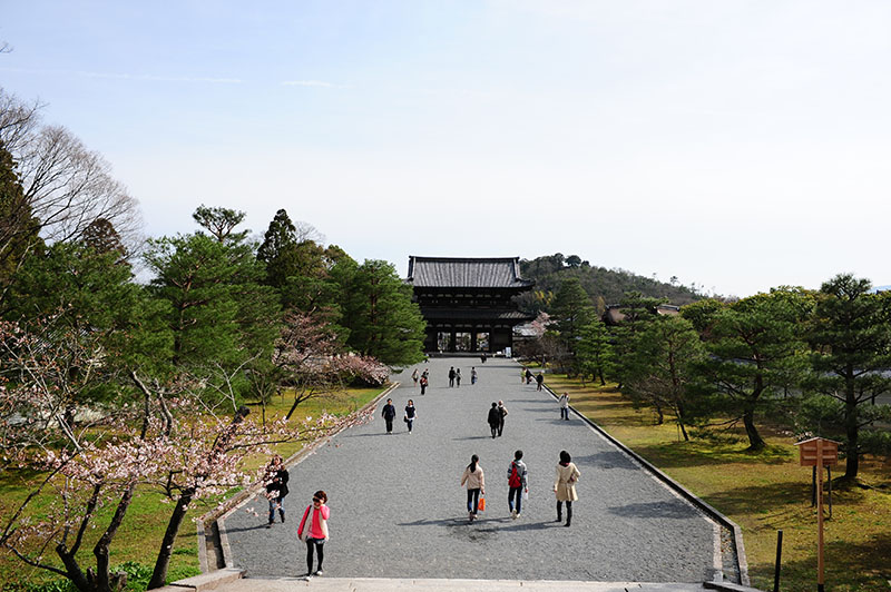 　仁和寺占地面積9萬餘平米，規模宏偉，寺內大部分景點都不收門票。