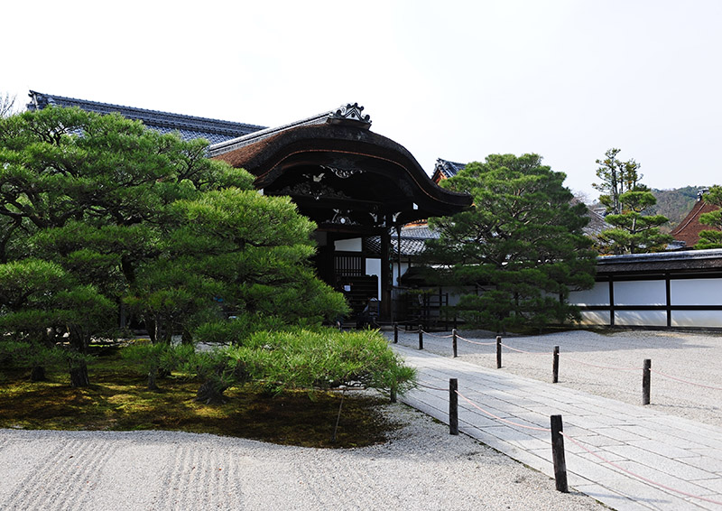 　仁和寺寺內擁有眾多古蹟，仁王門、御影堂中門、五重塔、紫宸殿遺址、觀音堂、仁和寺御殿以及江戶時代修建的池泉還遊式庭園，其中以國寶金堂為最，可能就是這裡了。