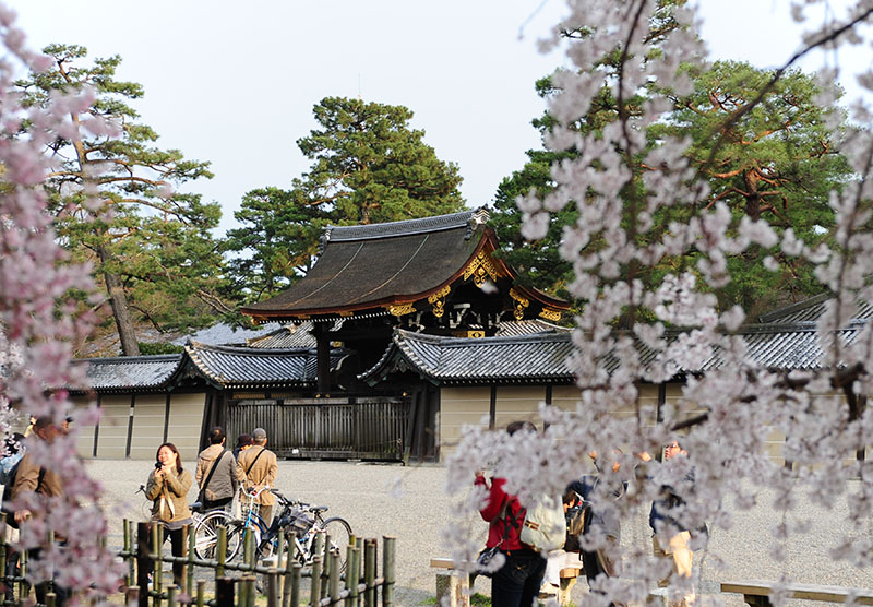 　京都御苑內的京都禦所---舊皇宮。