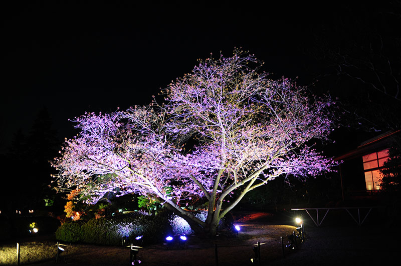 D70_2037a.jpg