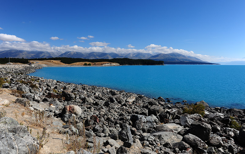 　有人形容Lake Pukaki是紐西蘭眾多湖泊中最漂亮的，特別是它的土耳其藍。
