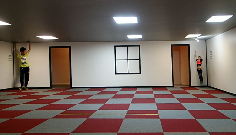 　Puzzle World由迷幻屋(Illusion Rooms)及迷宮(The Great Maze) 兩部分組成。<br /><br />　迷幻屋(Illusion Rooms)該挺有趣。