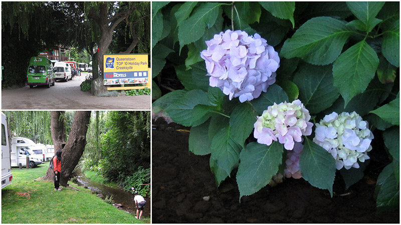 　下午四點多來到皇后鎮營地(Queenstown Top 10 Holiday Park Creeksyde)，兩大兩小NZD90。<br /><br />　營地環境也不錯，車後就是小溪，看見去年在澳門花展的綉球花，有些驚喜。