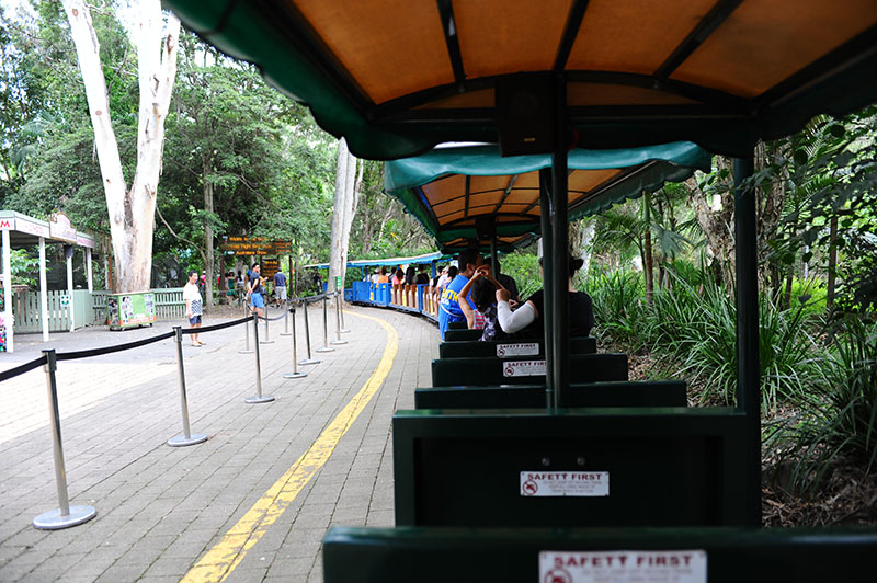 　動物園不大也不小，嫌走路累可以坐坐園內的免費小火車。