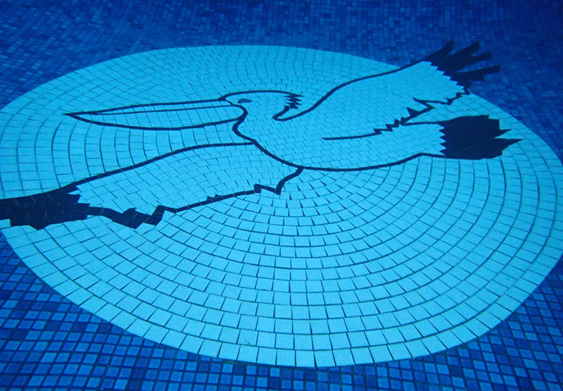 　藏在泳池底的旅館標誌(Pelican).