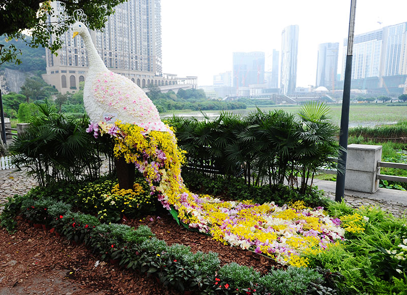 D70_7331a.jpg