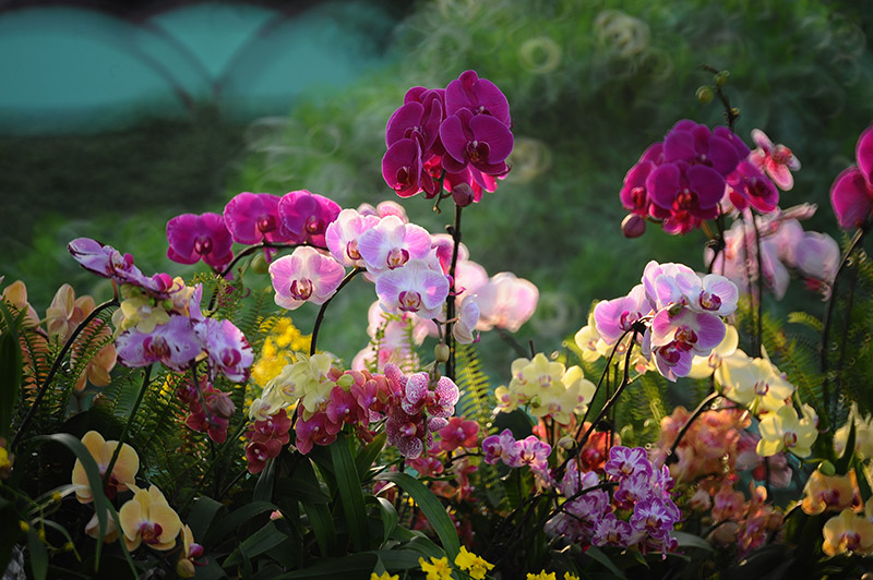 D70_7295a.jpg