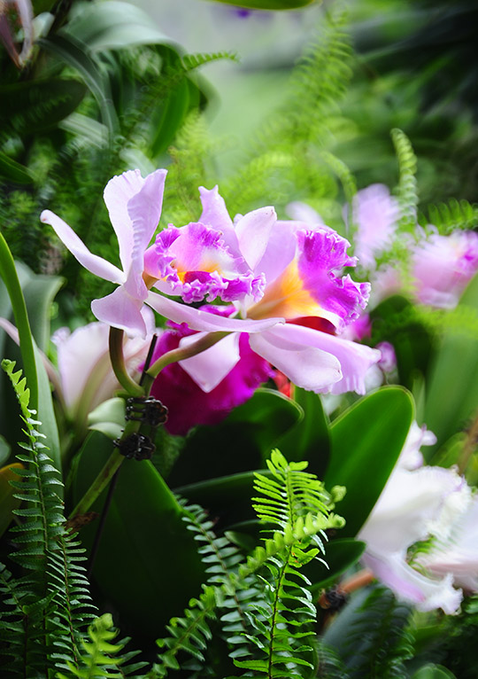 D70_7493a.jpg