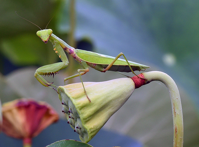 DSC_2985a.jpg