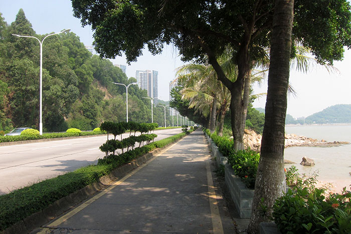 　香洲海邊到會同村可能是最安全最舒服的單車路線。