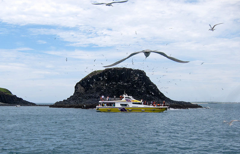 　東海幾個小島嶼現都為鳥類保護區，基本上也是玄武岩，在此喂海鳥也是一節目。