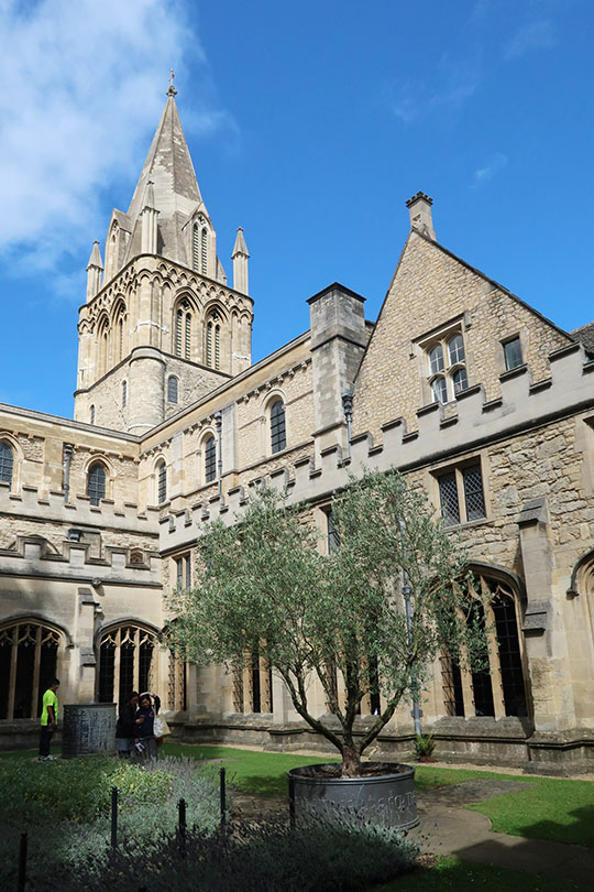 　基督學院也有自己的主教堂，同時也是牛津教區的座堂。
