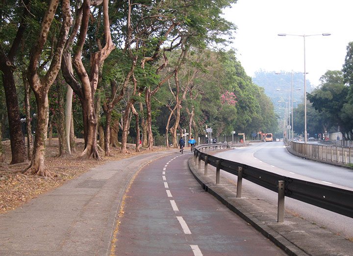 　單車人士也劇減了，看來這條單車路線主要是由大圍到大埔海濱公園來回。