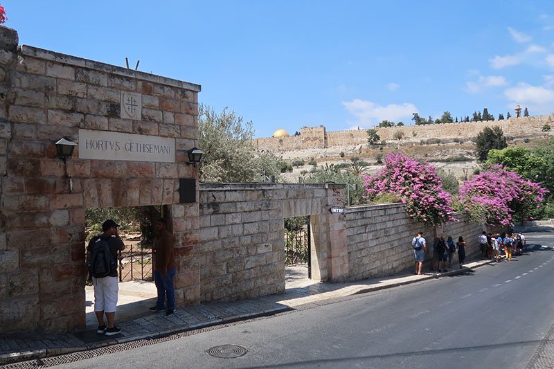 　這裡便是耶穌被捕的橄欖園客西馬尼園(Garden of Gethsemane)，位於橄欖山山腳。