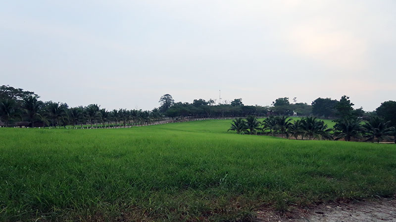 　匆匆忙忙一個半小時玩完，早知上午不去誠興綠色有機公園，這樣在這裡可以玩得優閒些，還可以回居銮的火車站的老咖啡店嘆下午啡吃些東西。