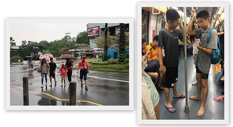 　在此浪費了一個多小時，趁雨停了，馬上閃人。<br /><br />　幸好兩位老人家沒玩，爺爺有背心打底，還有件衫給弟弟穿。新加坡規矩多多，沒穿鞋可以坐地鐵嗎？
