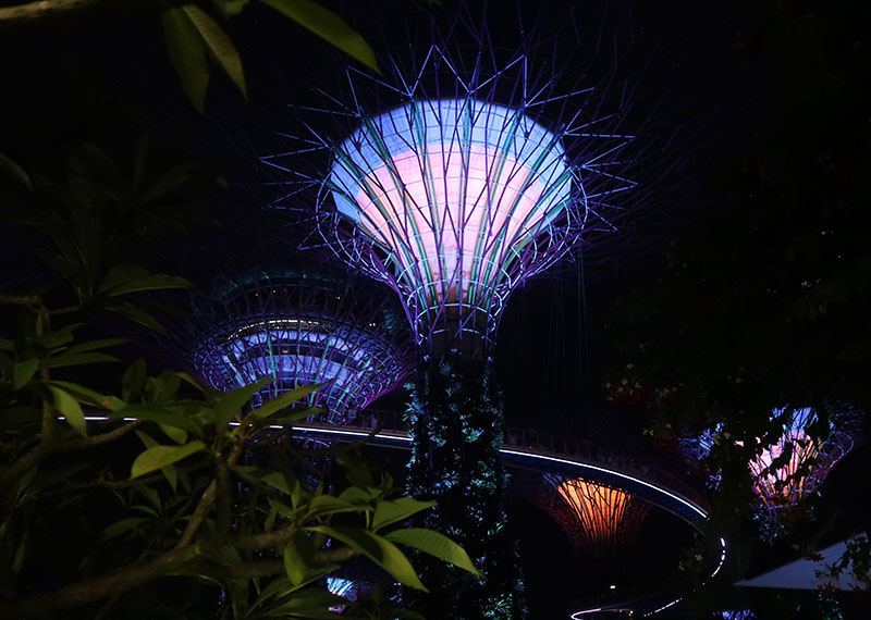 　精彩的濱海灣燈光表演為大家此難忘的新加坡之行謝幕。