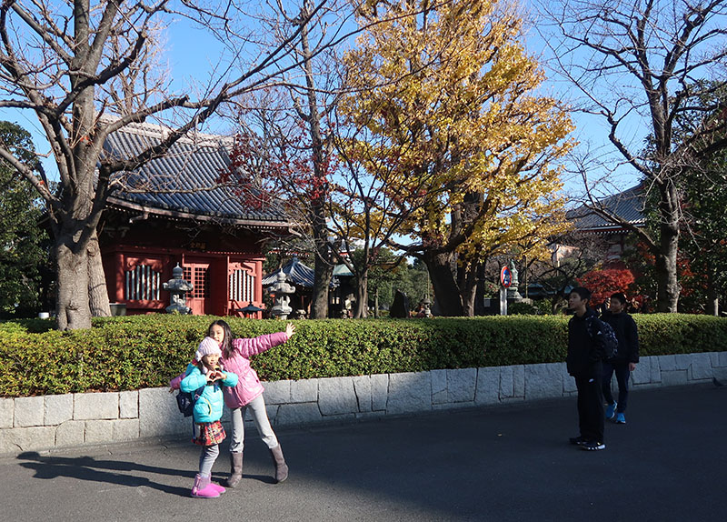 　來到淺草寺，最驚喜是還可以看到紅黃葉！
