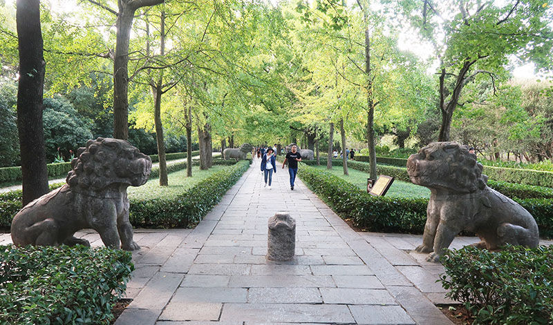 　來前簡單查一下南京景點，秋色裡明孝陵的石像生道最令笨忍印象深刻，不過此時來景色並不太特別，想等沒人拍一張透視圖也等不到。
