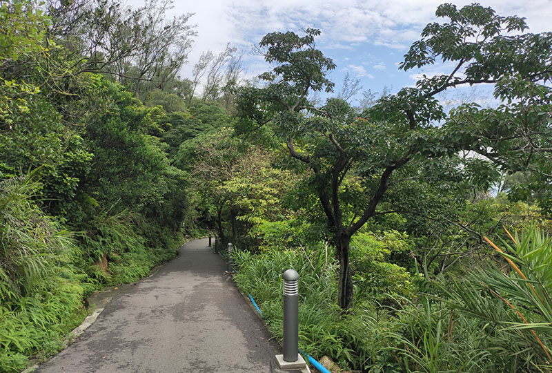 　當年沙土路，現在變水泥路了。