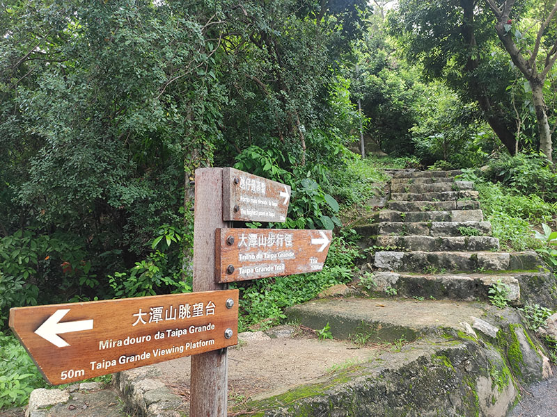 　原來中間還有去潭仔最高點的一條路，當年沒走過。