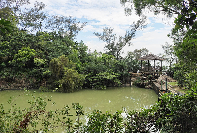 　茶花園，據說清明時期才有花。