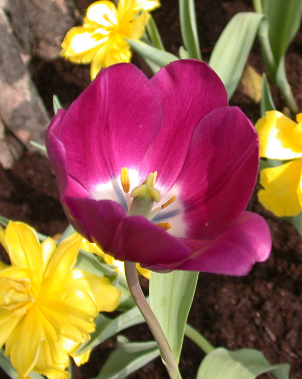 DSCN3217aa.jpg