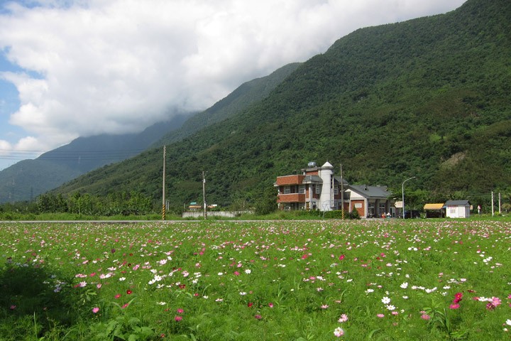 　東岸漂亮的房子，多數都是民宿，不知道這間是不是。<br /><br />　但我喜歡的是前面這一大片的花海。