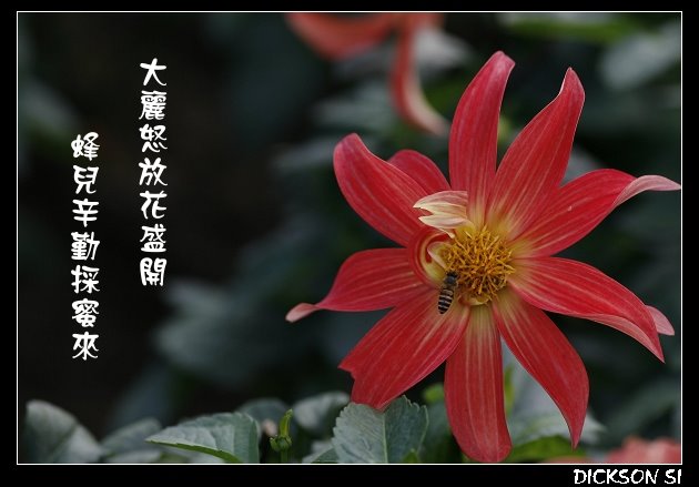 _MG_2417_nEO_IMG.jpg