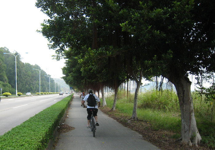 　過了香洲海邊，單車徑收窄了些，但有樹蔭。
