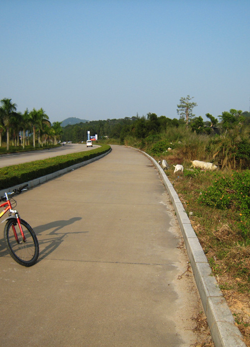 　過了淇澳大橋也只有向右方向一條路走，還有單車徑。<br /><br /><br />　對淇澳島都沒有做什麼功課，只知道島上有紅樹林，只想踩到紅樹林，在島上一直踩了四公里多…