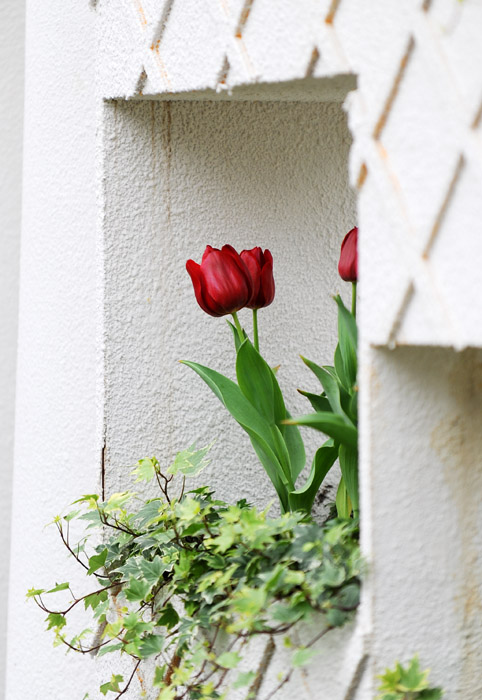 D70_7100a.jpg