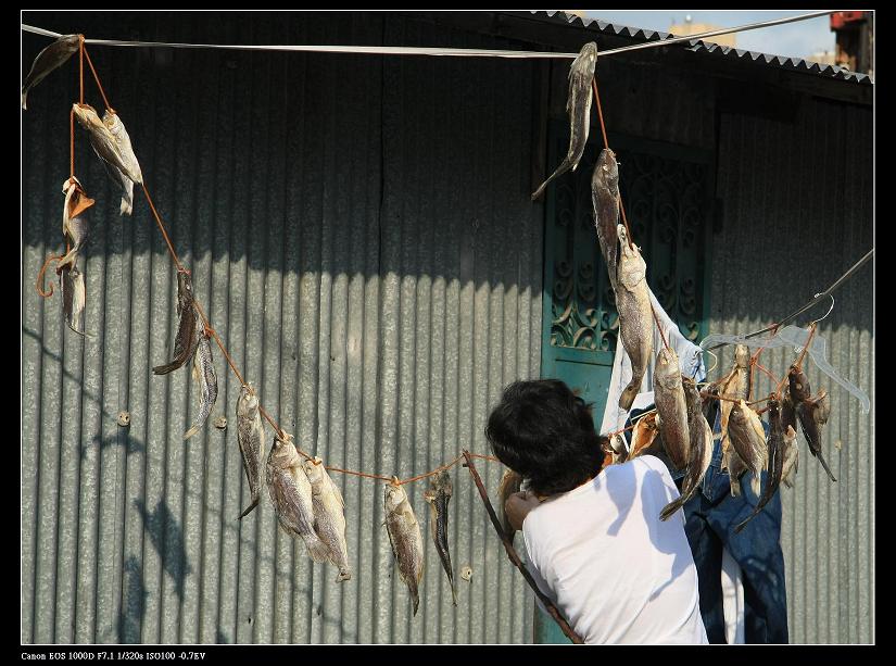 夠鍾收咸魚~