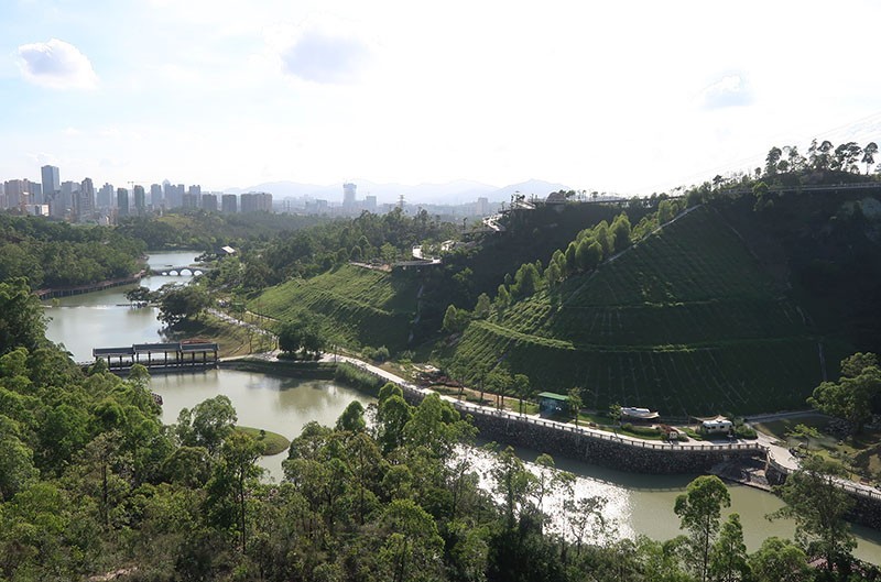 　香山雲道全長約3054米，沿香山湖四周盤旋而臥，將整個香山湖公園二期環繞其中，形成山湖相連，互聯互通的景象。