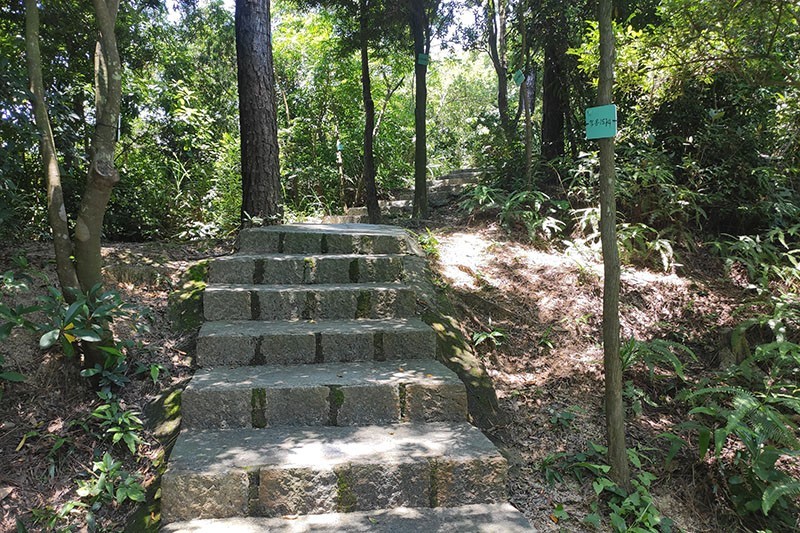 　沿一小徑上山頂。雖然很幽靜，但只見三四種蝴蝶飛來飛去，似之前已都入集了。