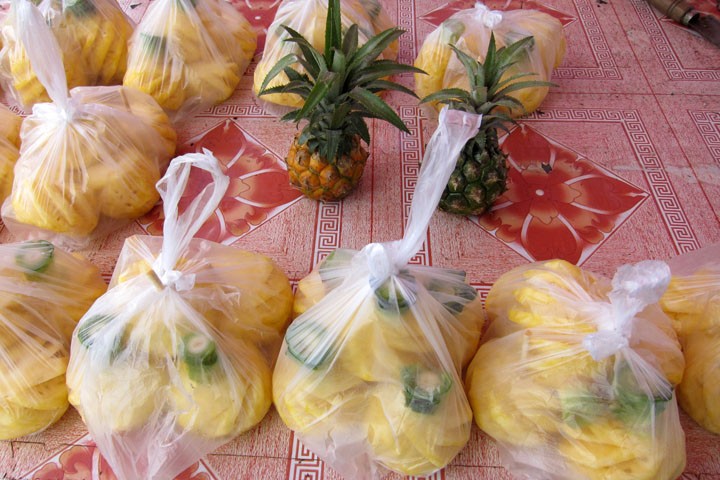 　在橋頭，試下神灣菠蘿，唔浸水的菠蘿太好味了，一袋四五個，10元。<br /><br />　賣菠蘿的姐姐仔還主動拿兩個未削皮的菠蘿俾我一齊影。