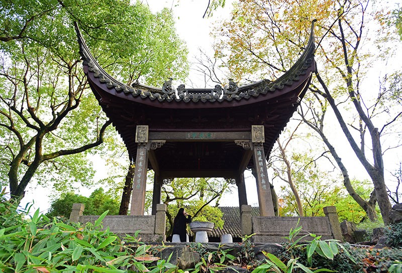 　滄浪亭，蘇州唯一以「亭」命名的園林，可見此亭在此園中的地位。