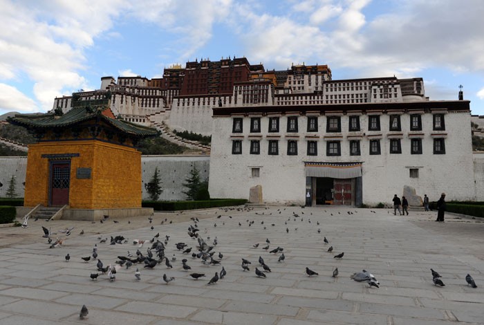 　布達拉宮前的白鴿。<br /><br />　在西藏的十天里，西藏給我的感覺是一個很平和神聖的地方，愿西藏在發展的過程中，能繼續保持原來純樸的風貌。
