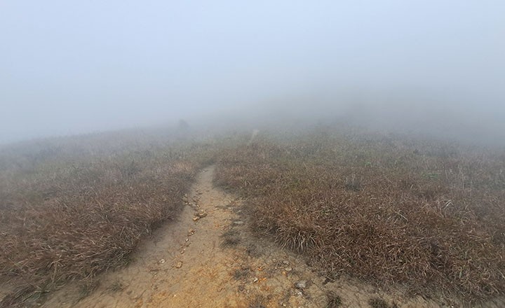 　步行徑只經過最高峰，最高點據說還有約一百米高，今日上去也沒意思。